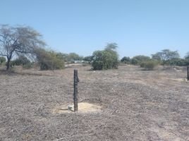 Terrain à vendre à Piura, Piura, Piura, Piura, Piura, Pérou