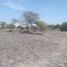 Terrain à vendre à Piura, Piura, Piura, Piura, Piura, Pérou