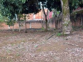  토지을(를) Xalapa, 베라 크루즈에서 판매합니다., Xalapa