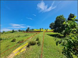  Land for sale in Bohol, Central Visayas, Mabini, Bohol