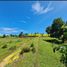  Land for sale in Mabini, Central Visayas, Mabini