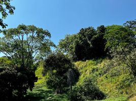  Terreno (Parcela) en venta en San Jeronimo, Antioquia, San Jeronimo