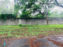  Terrain for sale in Cabuyao City, Laguna, Cabuyao City