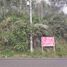  Land for sale in Conocoto, Quito, Conocoto