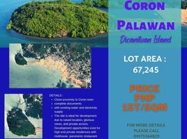  Terrain for sale in Coron, Palawan, Coron