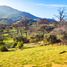  Terreno (Parcela) en venta en Melipilla, Santiago, Curacavi, Melipilla