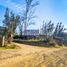  Terreno (Parcela) en venta en Melipilla, Santiago, Curacavi, Melipilla
