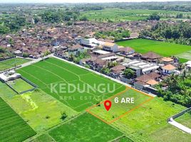  Land for sale in Pura Tanah Lot, Kediri, Tabanan