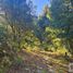  Land for sale in Mineral Del Chico, Hidalgo, Mineral Del Chico