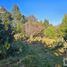  Land for sale in Mineral Del Chico, Hidalgo, Mineral Del Chico