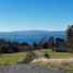  Land for sale in Cautin Araucania, Villarrica, Cautin, Araucania, Chile