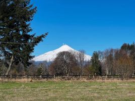  Land for sale in Cautin Araucania, Villarrica, Cautin, Araucania, Chile