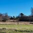  Land for sale in Cautin Araucania, Villarrica, Cautin, Araucania, Chile
