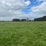  Land for sale in Chile, Frutillar, Llanquihue, Los Lagos, Chile