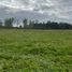  Land for sale in Chile, Frutillar, Llanquihue, Los Lagos, Chile