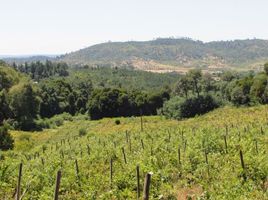  Land for sale in Chile, Cauquenes, Cauquenes, Maule, Chile