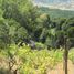  Land for sale in Chile, Cauquenes, Cauquenes, Maule, Chile