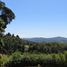  Land for sale in Chile, Cauquenes, Cauquenes, Maule, Chile
