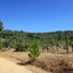  Land for sale in Chile, Cauquenes, Cauquenes, Maule, Chile