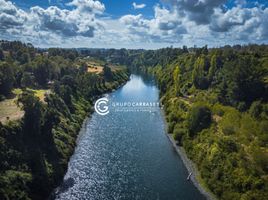  Land for sale in Chile, La Union, Ranco, Los Rios, Chile