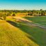  Land for sale in Chile, La Union, Ranco, Los Rios, Chile