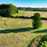  Land for sale in Chile, La Union, Ranco, Los Rios, Chile
