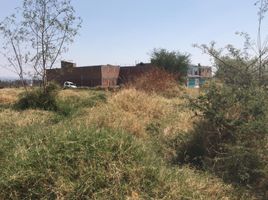  Terreno (Parcela) en venta en Tarimbaro, Michoacán, Tarimbaro