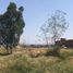  Terreno (Parcela) en venta en Tarimbaro, Michoacán, Tarimbaro
