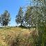  Land for sale in Chile, Quinta De Tilcoco, Cachapoal, Libertador General Bernardo Ohiggins, Chile