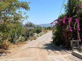  Land for sale in Chile, Quinta De Tilcoco, Cachapoal, Libertador General Bernardo Ohiggins, Chile
