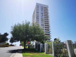 1 Habitación Apartamento en venta en Valparaíso, Valparaíso, Viña del Mar, Valparaíso