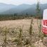  Grundstück zu verkaufen in Santa Catarina, Nuevo Leon, Santa Catarina, Nuevo Leon
