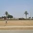  토지을(를) Chilca, Ca��ete에서 판매합니다., Chilca