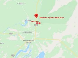  Terreno (Parcela) en venta en Felipe Carrillo Puerto, Quintana Roo, Felipe Carrillo Puerto