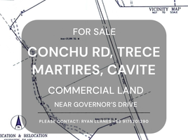  Terrain for sale in Cavite, Calabarzon, Trece Martires City, Cavite