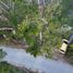  Land for sale in Dauis, Central Visayas, Dauis