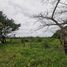 Terrain à vendre à Jamapa, Veracruz, Jamapa