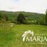2 Bedroom Villa for sale in Villarrica, Araucania, Villarrica, Cautin