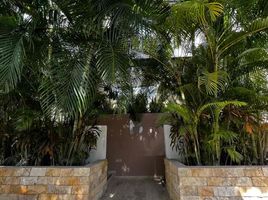 2 Schlafzimmer Wohnung zu vermieten in Merida, Yucatan, Merida, Yucatan