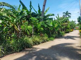  Land for sale in Compostela, Cebu, Compostela