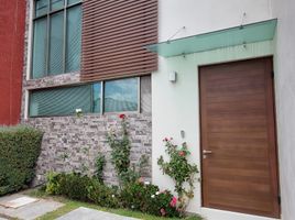 4 Habitación Casa en venta en San Agustin Tlaxiaca, Hidalgo, San Agustin Tlaxiaca, Hidalgo