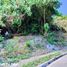 Terrain à vendre à Cebu City, Central Visayas, Cebu City