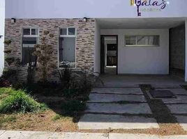 4 Habitación Casa en venta en San Agustin Tlaxiaca, Hidalgo, San Agustin Tlaxiaca, Hidalgo