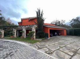 3 Schlafzimmer Wohnung zu verkaufen in Monterrey, Nuevo Leon, Monterrey, Nuevo Leon