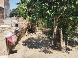  Grundstück zu verkaufen in Irapuato, Guanajuato, Irapuato