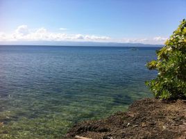  Land for sale in Loon, Bohol, Loon