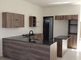 3 Schlafzimmer Haus zu verkaufen in Allende, Guanajuato, Allende