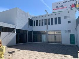 531 m² Office for rent in San Luis Potosí, San Luis Potosi, San Luis Potosí