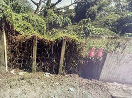  Grundstück zu verkaufen in Calamba City, Calabarzon, Calamba City