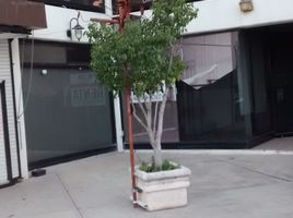 108 m² Office for rent in Mexiko, Queretaro, Queretaro, Mexiko